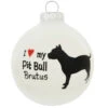 Personalized I Love My Pit Bull Glass Ornament -Holiday Decoration Store 1135634 web 1.default