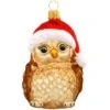 Owl With Santa Hat Glass Ornament -Holiday Decoration Store 1143650 web 1.default