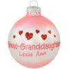 Personalized Great Granddaughter With Hearts Glass Ornament 1 Personalized Great Granddaughter With Hearts Glass Ornament -Holiday Decoration Store 1164337 web 1.default