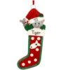 Personalized Cat In Stocking Resin Ornament -Holiday Decoration Store 1165682 web 1.default