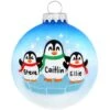 Personalized Penguin Parent With 2 Kids Glass Ornament 2 Personalized Penguin Parent With 2 Kids Glass Ornament -Holiday Decoration Store 1166809 web 1.default
