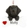 Personalized Black Lab With Bone Ornament -Holiday Decoration Store 1173338 web 1.default