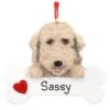 Personalized Labradoodle With Bone Ornament -Holiday Decoration Store 1173349 web 1.default