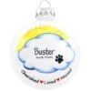 Personalized Pet Memorial Glass Ornament With Cherished Love Missed -Holiday Decoration Store 1194215 web 1.default