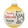 Personalized Meowy Christmas Cat 2 Tone Glass Ornament