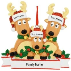 Personalized Reindeer Family Of 3 Ornament -Holiday Decoration Store 1200293 web 3