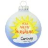 Personalized You Are My Sunshine Glass Ornament -Holiday Decoration Store 1207220 web 1.default