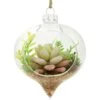 Succulent Glass Teardrop Ornament -Holiday Decoration Store 1209368 web 1.default
