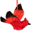 Red Acrylic Cardinal Ornament 1 Red Acrylic Cardinal Ornament -Holiday Decoration Store 1212149 web 1.default