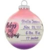 Personalized Baby's First Christmas Stats With Snowflakes Pink And Purple Glass Ornament -Holiday Decoration Store 1213769 web 1.default