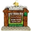 Grand Teton National Park Glass Ornament -Holiday Decoration Store 1216603 web 1.default