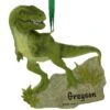 Personalized T-Rex Dinosaur Resin Ornament 1 Personalized T-Rex Dinosaur Resin Ornament -Holiday Decoration Store 1219342 web 1.default