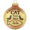 Personalized Spoiled Cat Lives Here 2 Tone Tan And Brown Glass Ornament 1 Personalized Spoiled Cat Lives Here 2 Tone Tan And Brown Glass Ornament -Holiday Decoration Store 1220725 web 1.default