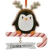 Personalized Penguin Pretender Ornament -Holiday Decoration Store 1260126 web 1.default