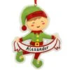 Personalized Boy Elf With Banner Resin Ornament