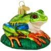 Red-Eyed Tree Frog Glass Ornament -Holiday Decoration Store 1260575 web 1.default