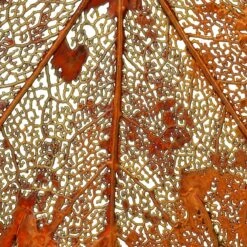 Japanese Maple Leaf Iridescent Copper Ornament -Holiday Decoration Store 1270386 web 2