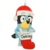 Personalized Bluey With Stocking Resin Ornament -Holiday Decoration Store 1270871 web 1.default