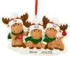 Personalized Moose Family Of 3 Ornament -Holiday Decoration Store 1271945 web 1.default