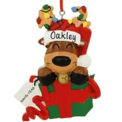 Personalized Reindeer In Gift Box With Lights Resin Ornament