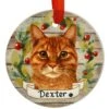 Personalized Orange Tabby Round Ceramic Ornament 2 Personalized Orange Tabby Round Ceramic Ornament -Holiday Decoration Store 1272092 web 1.default