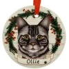 Personalized Silver Tabby Cat Round Ceramic Ornament 1 Personalized Silver Tabby Cat Round Ceramic Ornament -Holiday Decoration Store 1272093 web 1.default
