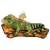 Iguana Glass Ornament 2 Iguana Glass Ornament -Holiday Decoration Store 1280020 web 1.default