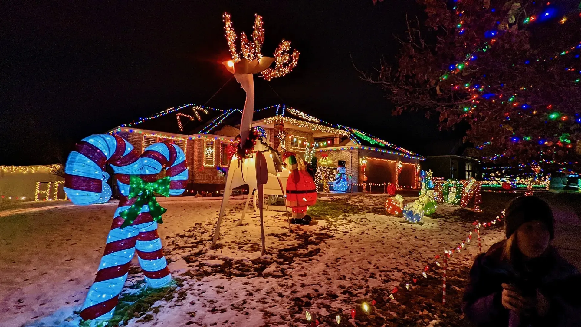 Holiday Decoration Store -Holiday Decoration Store 1701814539068